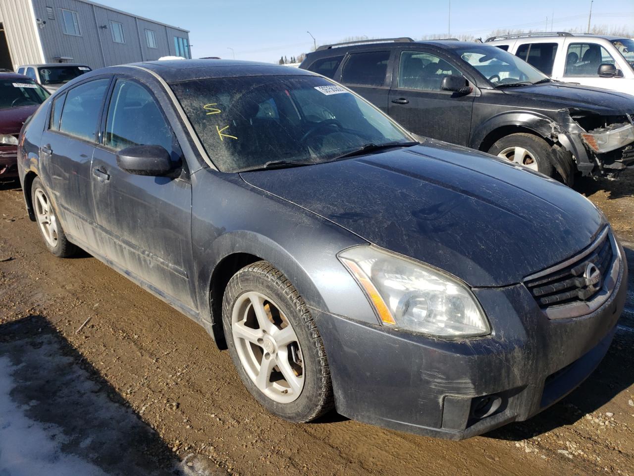NISSAN MAXIMA SE 2007 with VIN 1N4BA41E97C828151 - Photo from auction
