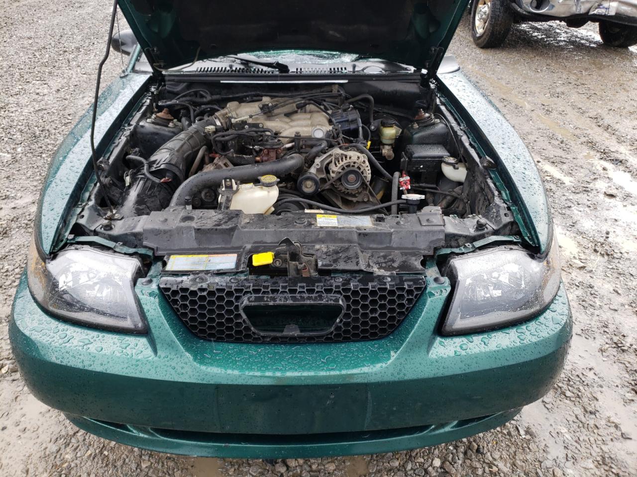 Photo 7 from auction – 2001 FORD MUSTANG with VIN 1FAFP40461F111981