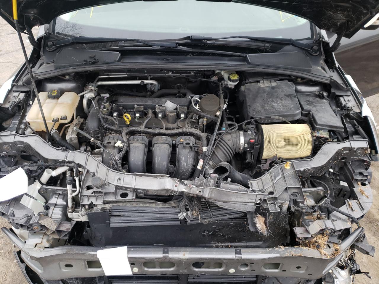 Photo 7 from auction – 2015 FORD FOCUS SE with VIN 1FADP3F23FL381346