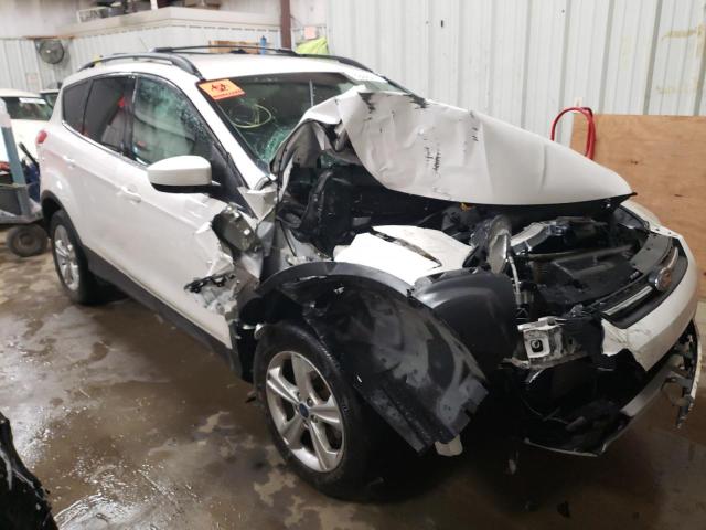 FORD ESCAPE SE 2013 with VIN 1FMCU0G96DUD64245 - Photo from auction