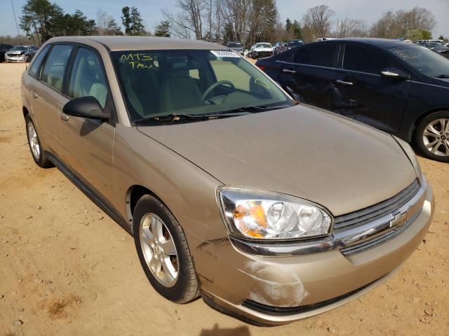 CHEVROLET MALIBU MAX 2005 with VIN 1G1ZT62815F285910 - Photo from auction