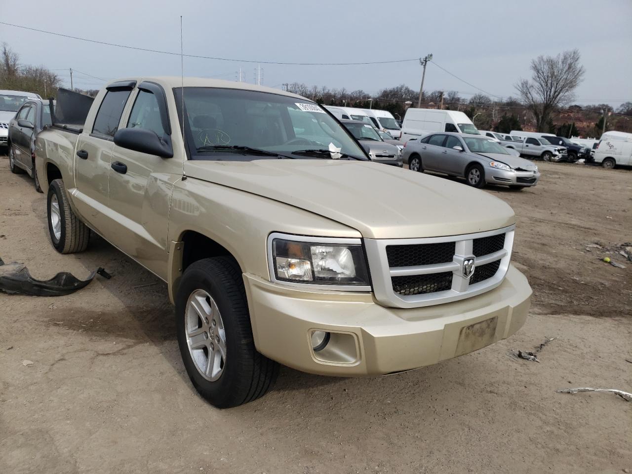 DODGE DAKOTA SLT 2011 with VIN 1D7RW3GKXBS691985 - Photo from auction