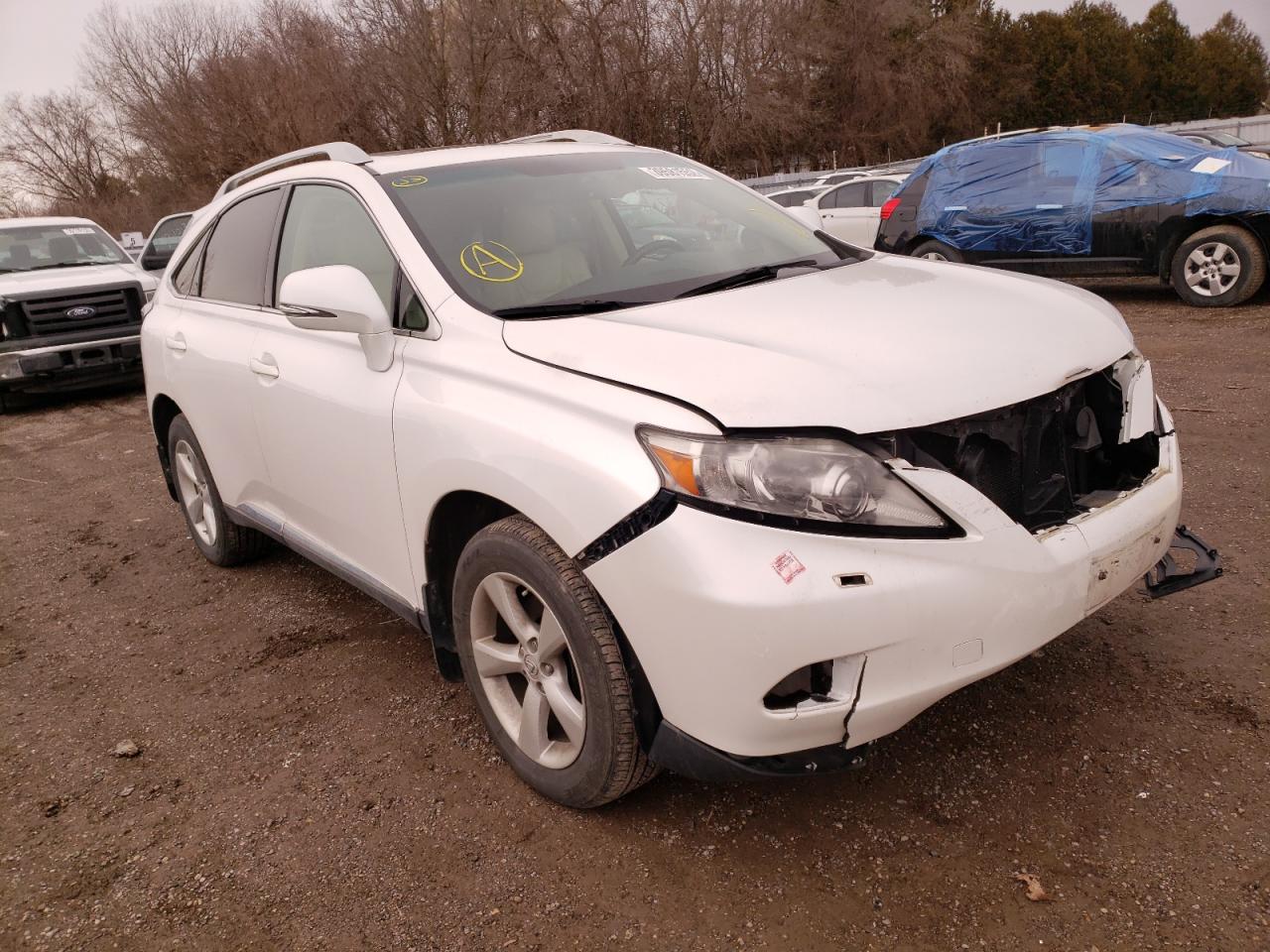 LEXUS RX 350 2010 with VIN 2T2BK1BA0AC037471 - Photo from auction
