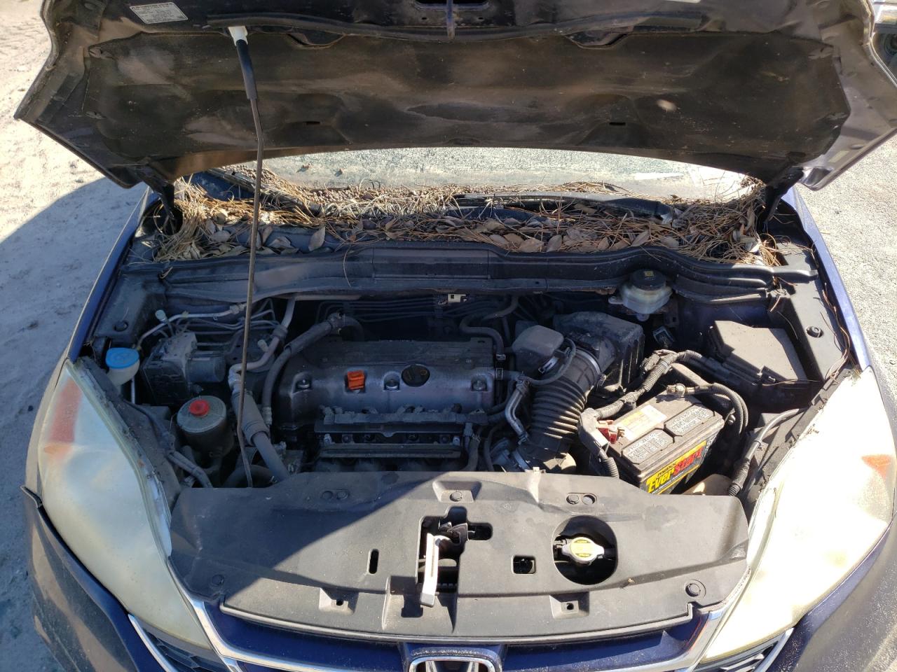 Photo 7 from auction – 2011 HONDA CR-V EX with VIN 5J6RE3H52BL001768