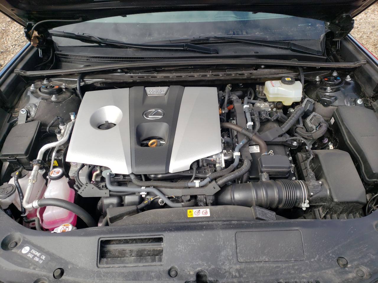 Photo 7 from auction – 2021 LEXUS ES 300H with VIN 58ADA1C17MU012531