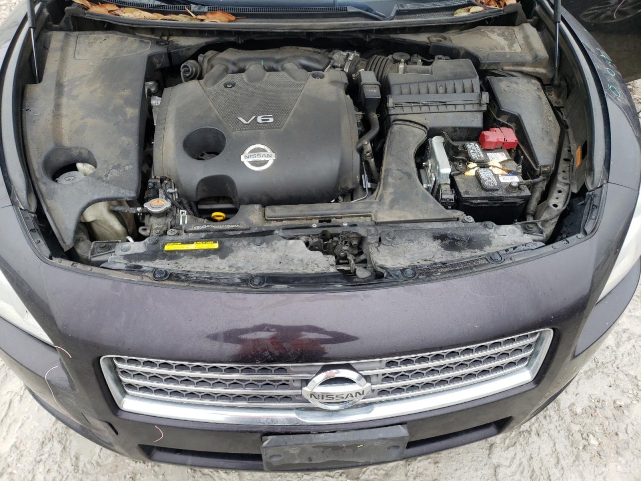 Photo 7 from auction – 2010 NISSAN MAXIMA S with VIN 1N4AA5APXAC850167