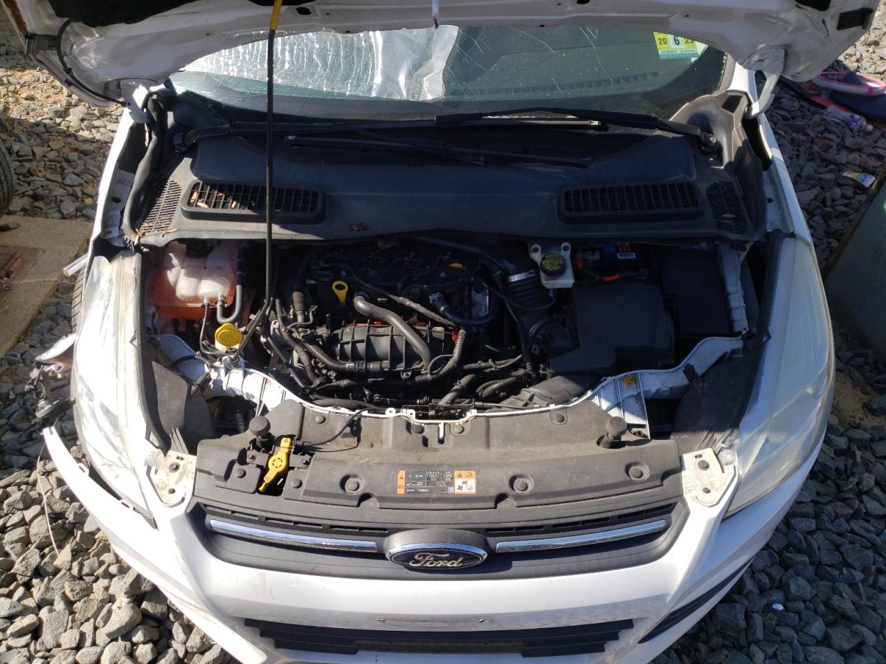Photo 7 from auction – 2014 FORD ESCAPE SE with VIN 1FMCU0GX2EUB33505