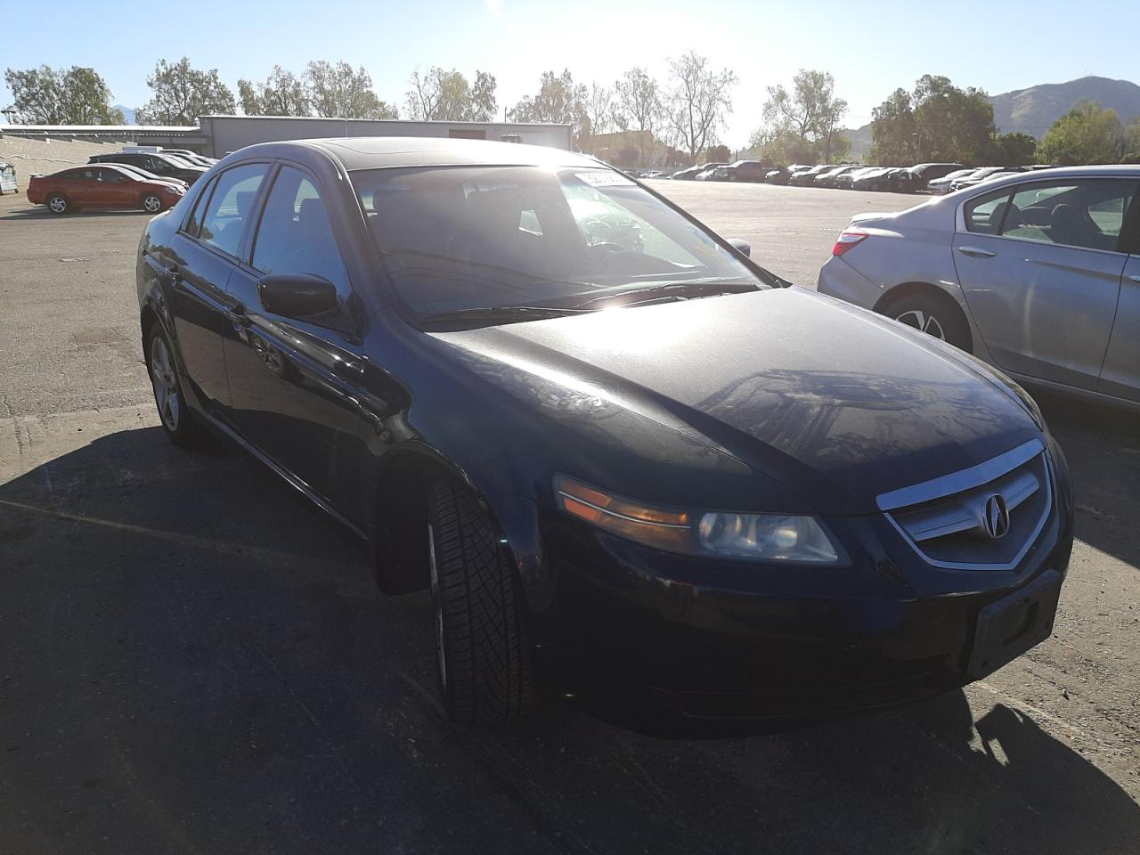 ACURA TL 2004 with VIN 19UUA66214A005509 - Photo from auction