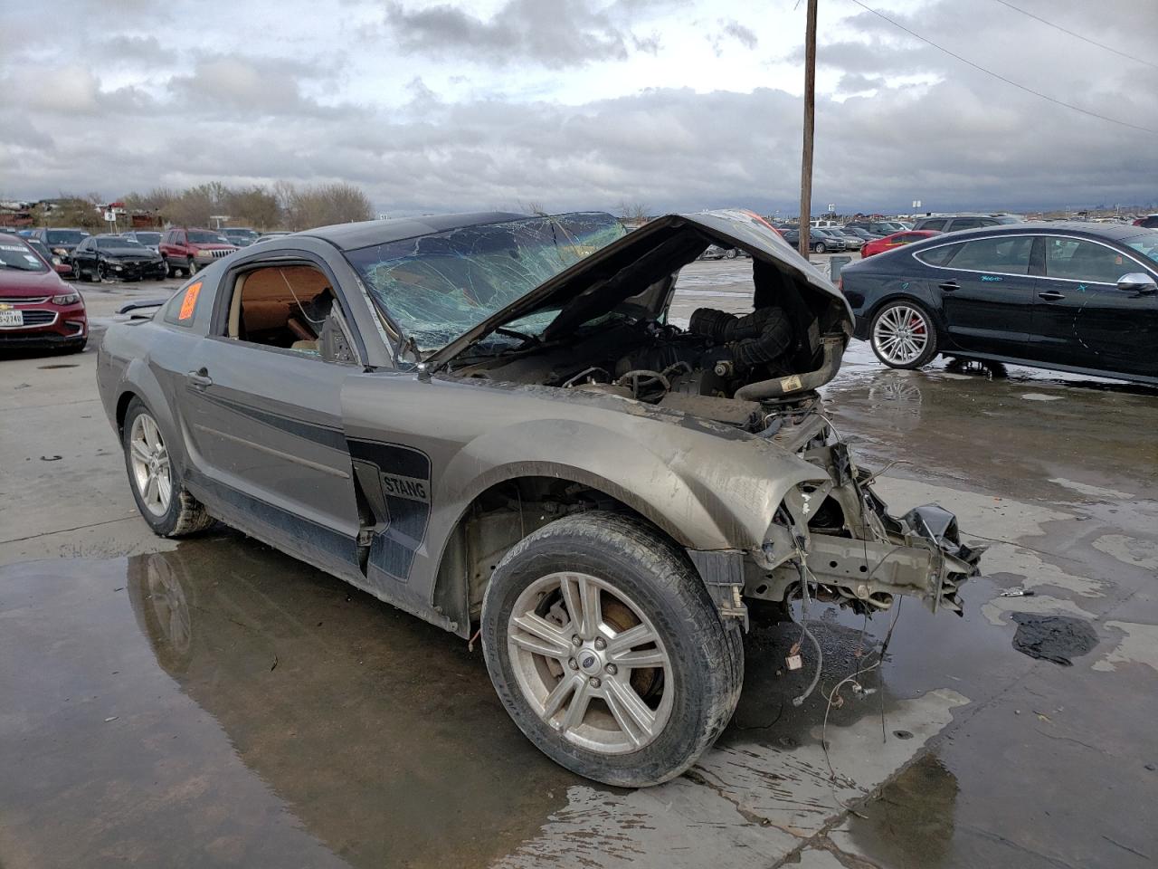 FORD MUSTANG 2005 with VIN 1ZVFT80N355154317 - Photo from auction