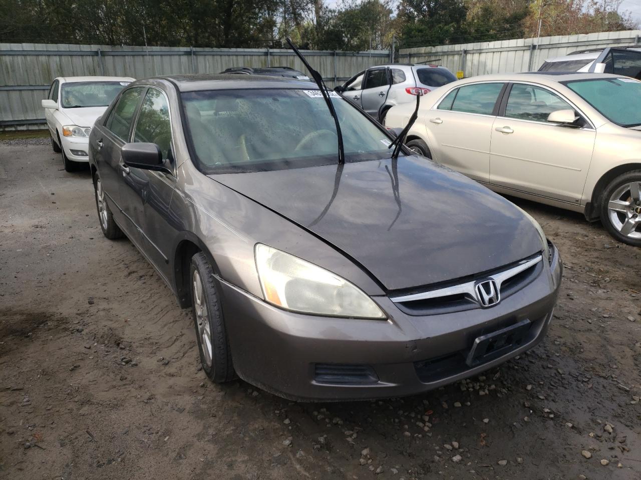 HONDA ACCORD EX 2007 with VIN 1HGCM66517A011909 - Photo from auction