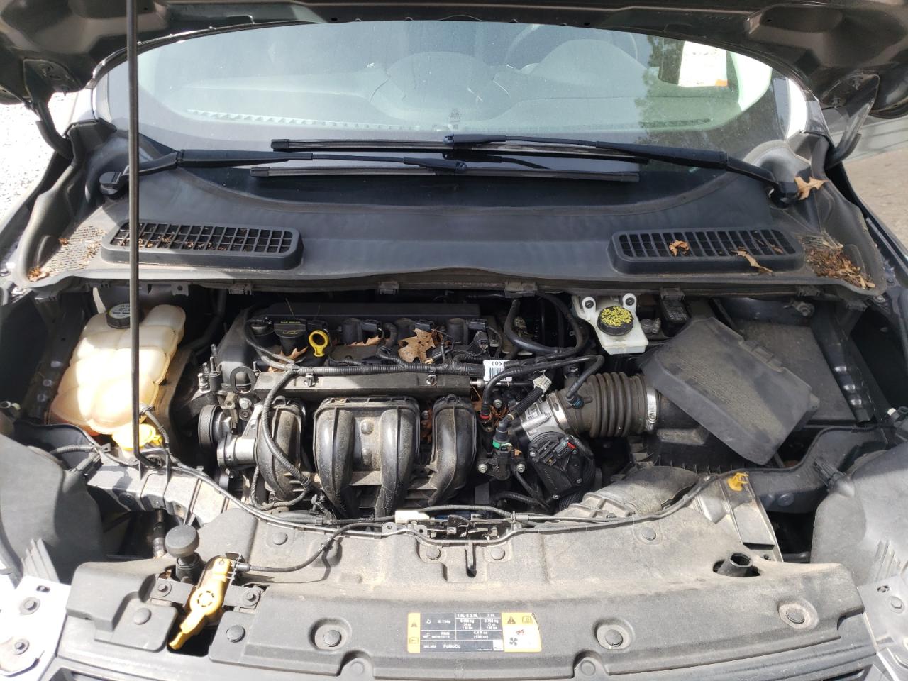 Photo 7 from auction – 2014 FORD ESCAPE S with VIN 1FMCU0F7XEUA11024