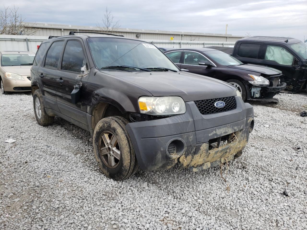 FORD ESCAPE XLS 2007 with VIN 1FMYU02Z87KA44499 - Photo from auction