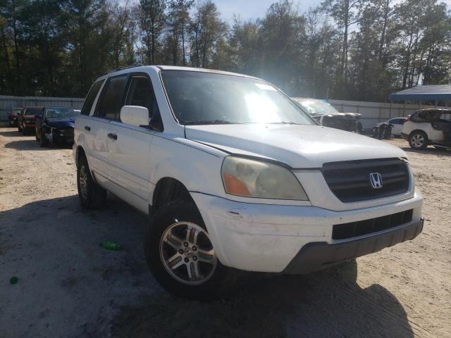 HONDA PILOT EXL 2005 with VIN 5FNYF18645B024780 - Photo from auction