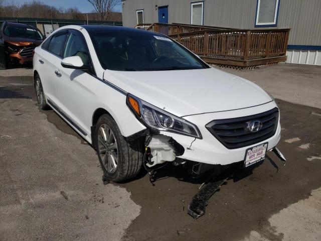 HYUNDAI SONATA SPO 2016 with VIN 5NPE34AF9GH420599 - Photo from auction