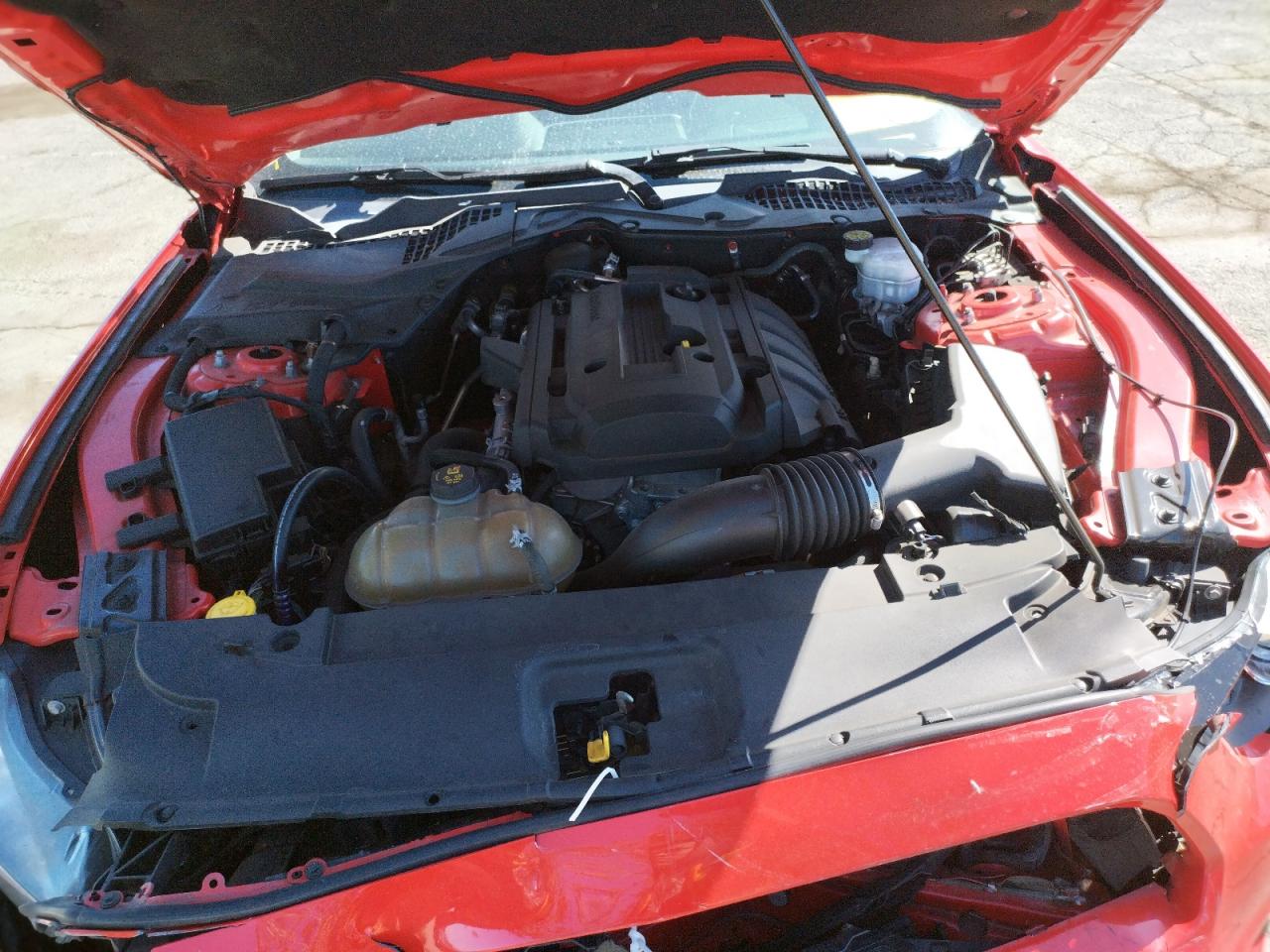 Photo 7 from auction – 2017 FORD MUSTANG with VIN 1FA6P8TH5H5279648
