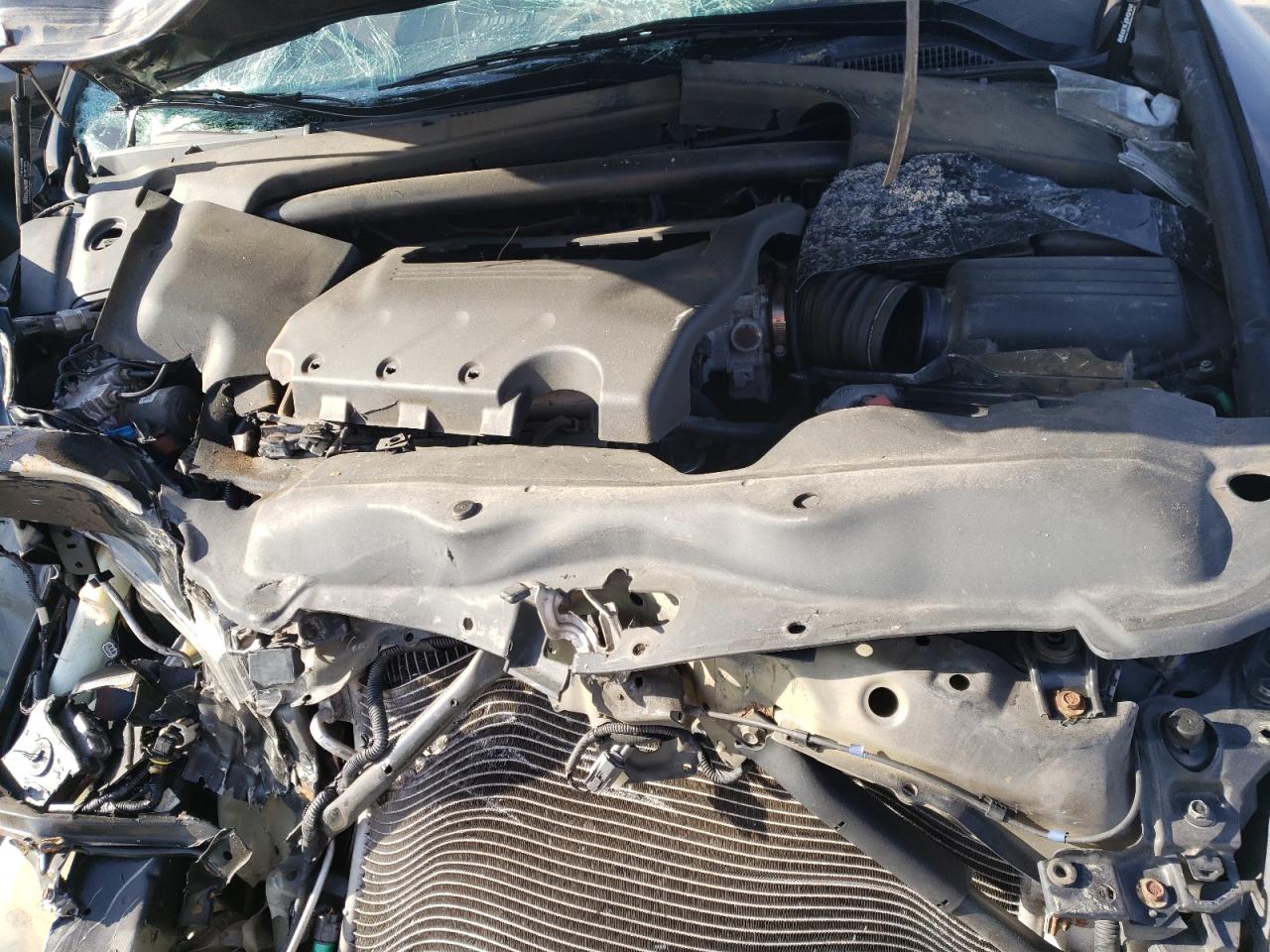 Photo 7 from auction – 2006 ACURA TL with VIN 19UUA66286A001072