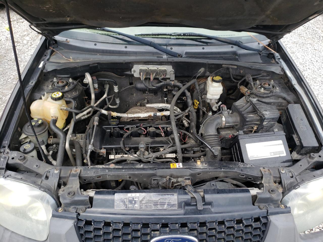 Photo 7 from auction – 2007 FORD ESCAPE XLS with VIN 1FMYU02Z87KA44499