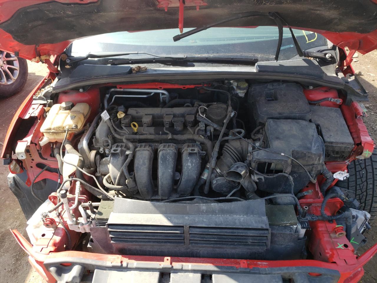 Photo 7 from auction – 2012 FORD FOCUS SEL with VIN 1FAHP3M23CL243595