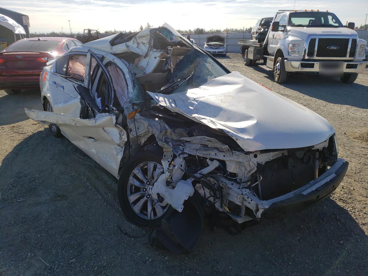 HONDA ACCORD EXL 2011 with VIN 1HGCP3F88BA010183 - Photo from auction