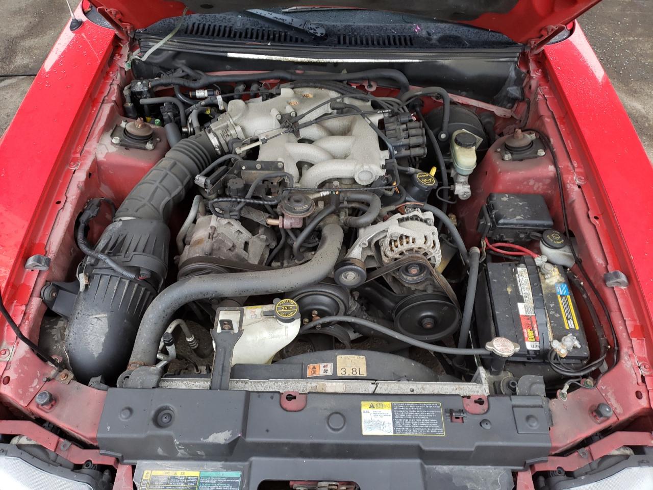 Photo 7 from auction – 2003 FORD MUSTANG with VIN 1FAFP40423F366338