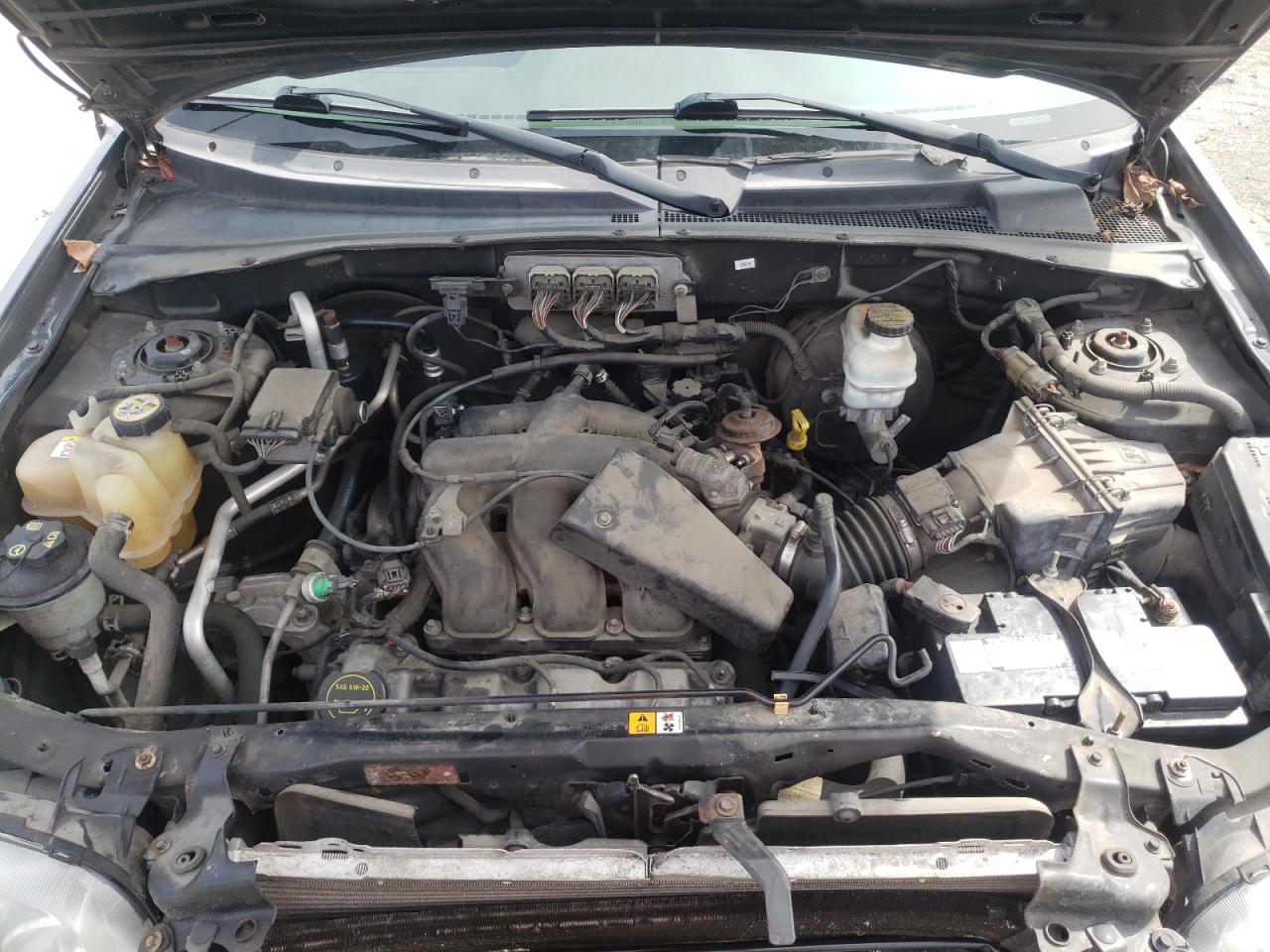 Photo 7 from auction – 2007 FORD ESCAPE XLT with VIN 1FMYU03177KA26438