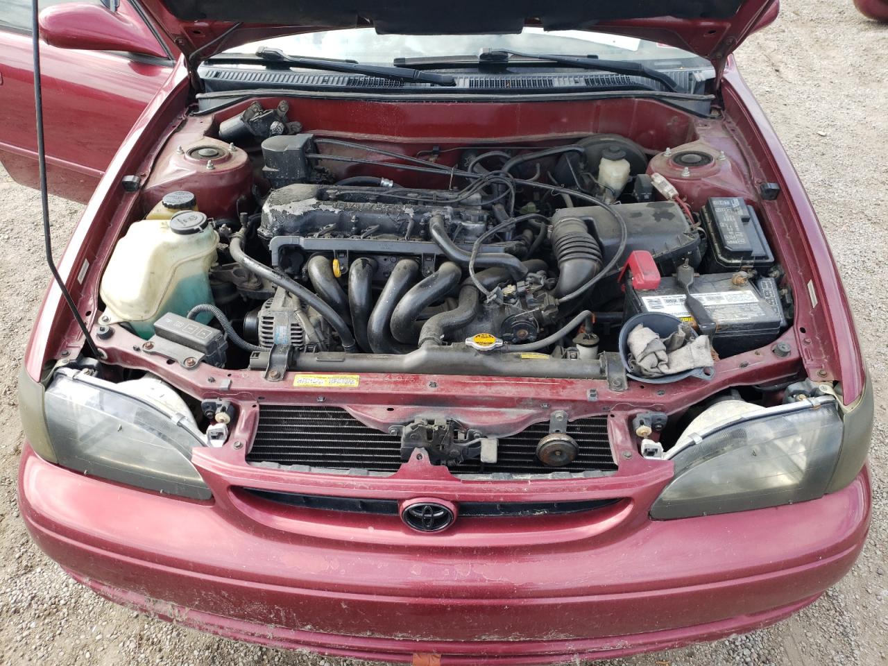 Photo 7 from auction – 1999 TOYOTA COROLLA VE with VIN 2T1BR12E9XC156499