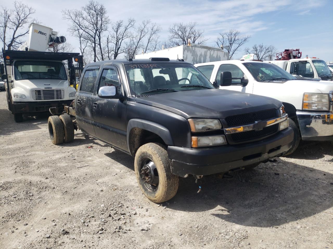 CHEVROLET SILVERADO 2003 with VIN 1GCJC33123F175837 - Photo from auction