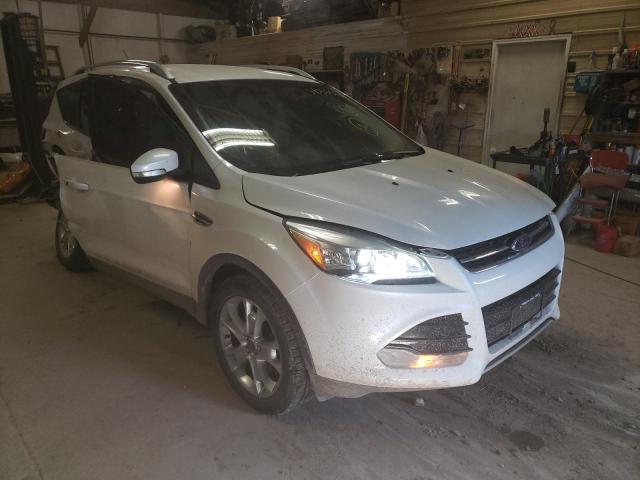 FORD ESCAPE TIT 2014 with VIN 1FMCU9J98EUE13072 - Photo from auction