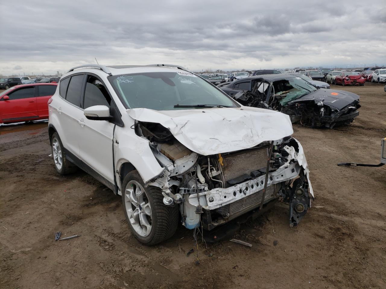 Photo 1 from auction – 2014 FORD ESCAPE TIT with VIN 1FMCU9J94EUE52564