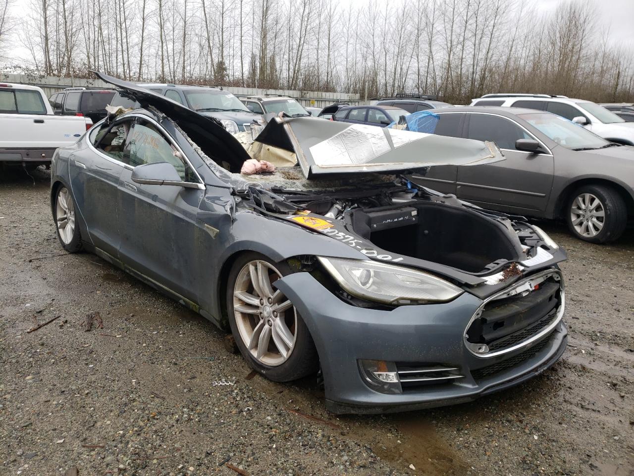 TESLA MODEL S 2013 with VIN 5YJSA1CG8DFP05074 - Photo from auction