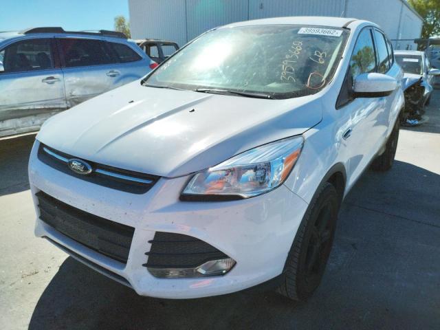 Photo 2 from auction – 2013 FORD ESCAPE SE with VIN 1FMCU9G9XDUA95347