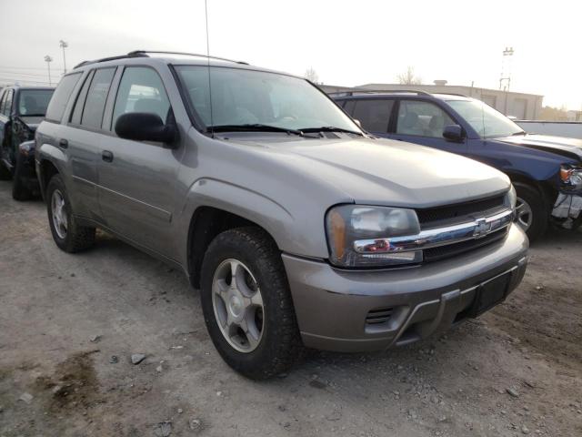 CHEVROLET TRAILBLAZE 2008 with VIN 1GNDT13S282249161 - Photo from auction
