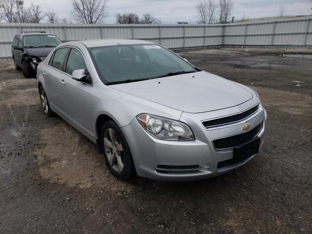CHEVROLET MALIBU 1LT 2011 with VIN 1G1ZC5E12BF341826 - Photo from auction
