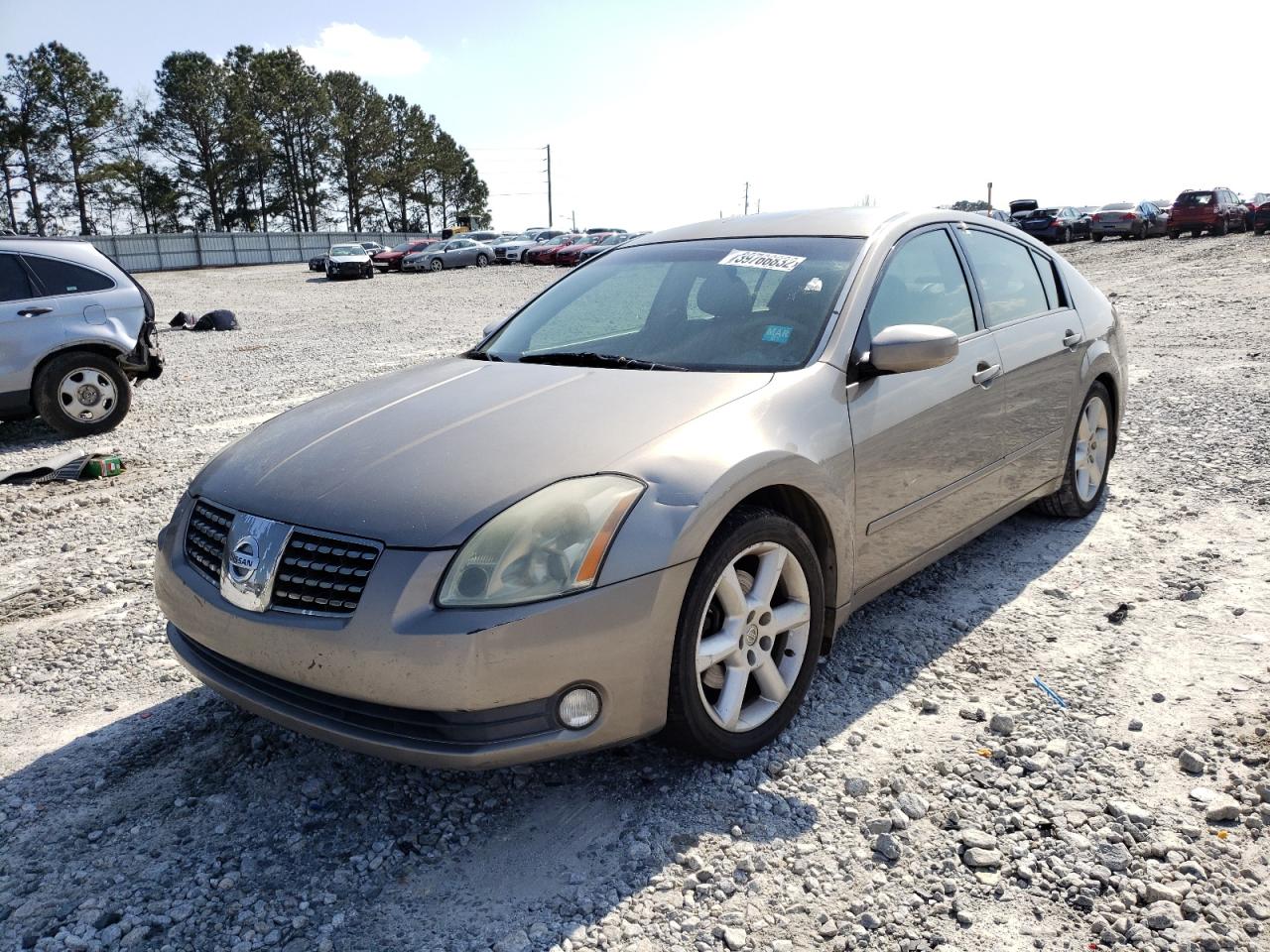 Photo 2 from auction – 2004 NISSAN MAXIMA SE with VIN 1N4BA41E74C830833