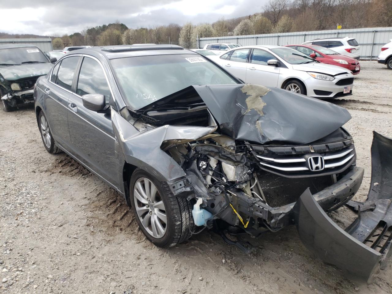 HONDA ACCORD EXL 2011 with VIN 1HGCP2F82BA129602 - Photo from auction