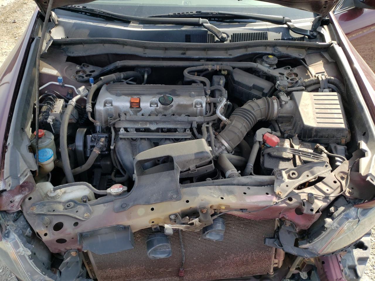 Photo 7 from auction – 2010 HONDA ACCORD EXL with VIN 1HGCP2F85AA031520