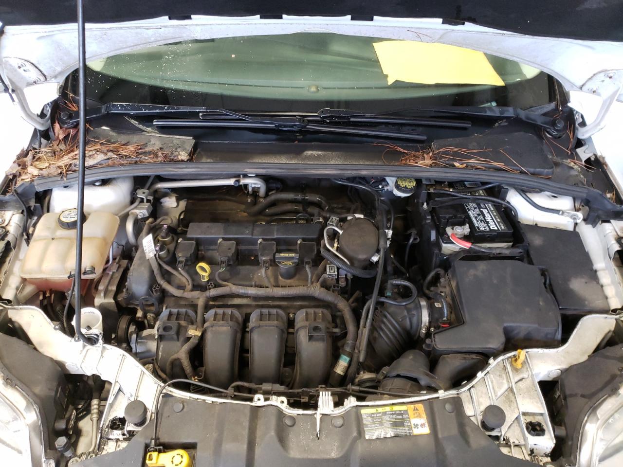 Photo 7 from auction – 2012 FORD FOCUS SEL with VIN 1FAHP3M22CL453735