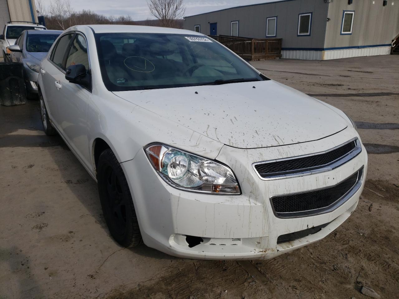 CHEVROLET MALIBU LS 2011 with VIN 1G1ZB5E11BF324972 - Photo from auction