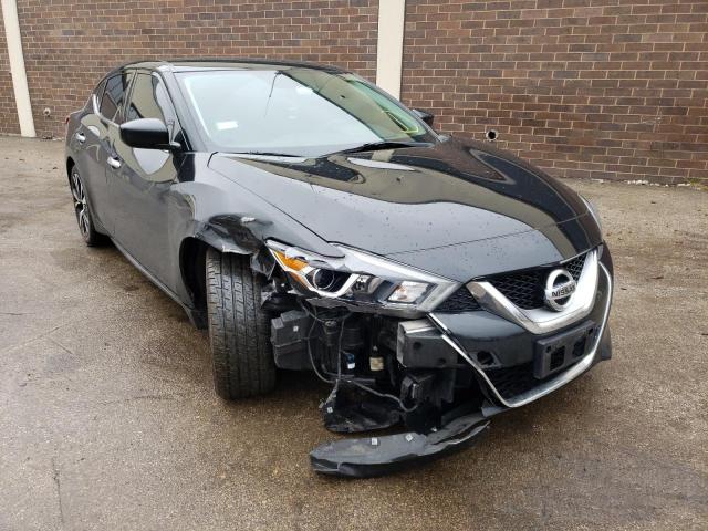 NISSAN MAXIMA 3.5 2017 with VIN 1N4AA6AP6HC443351 - Photo from auction