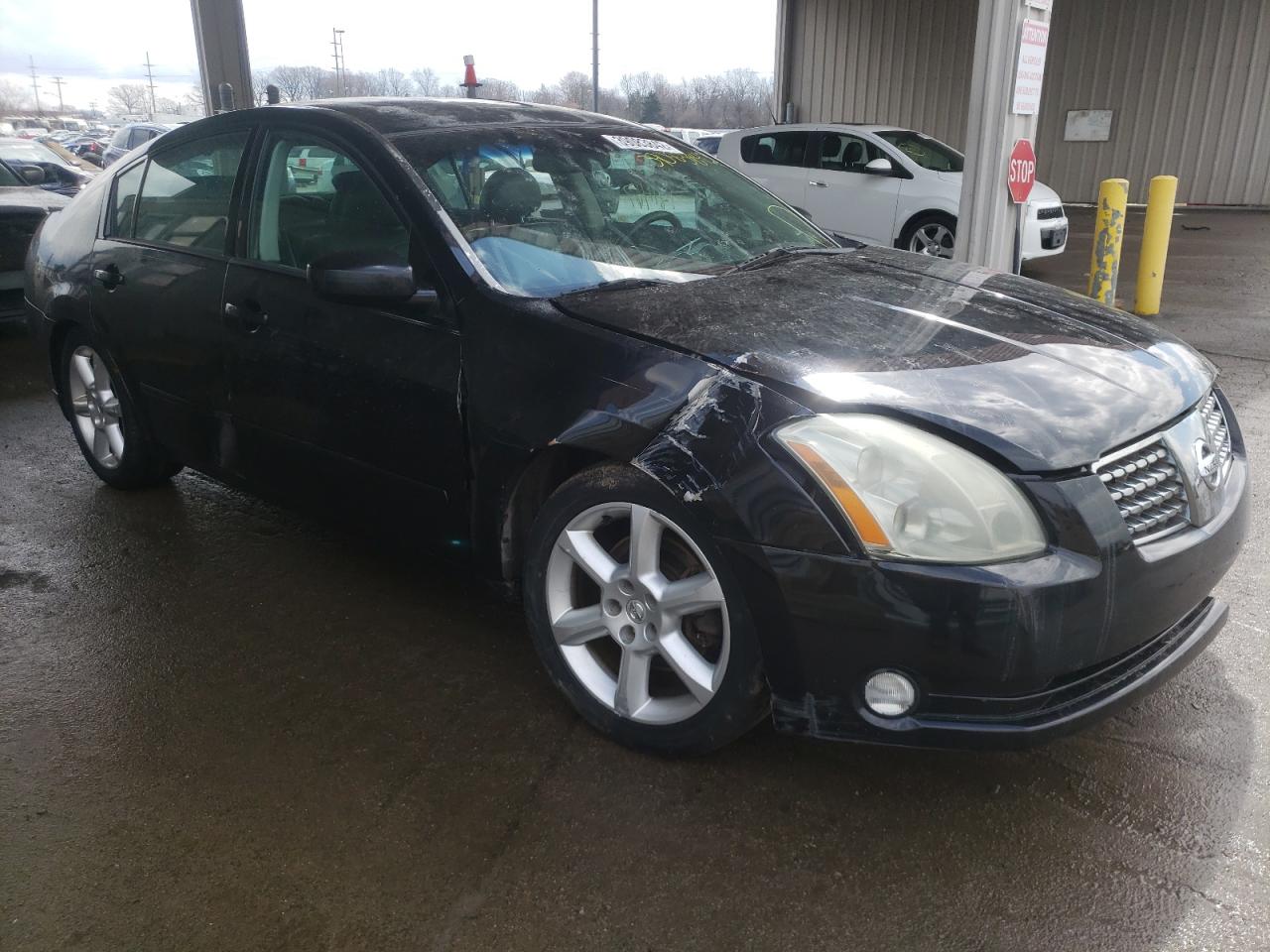 NISSAN MAXIMA SE 2006 with VIN 1N4BA41E96C819903 - Photo from auction