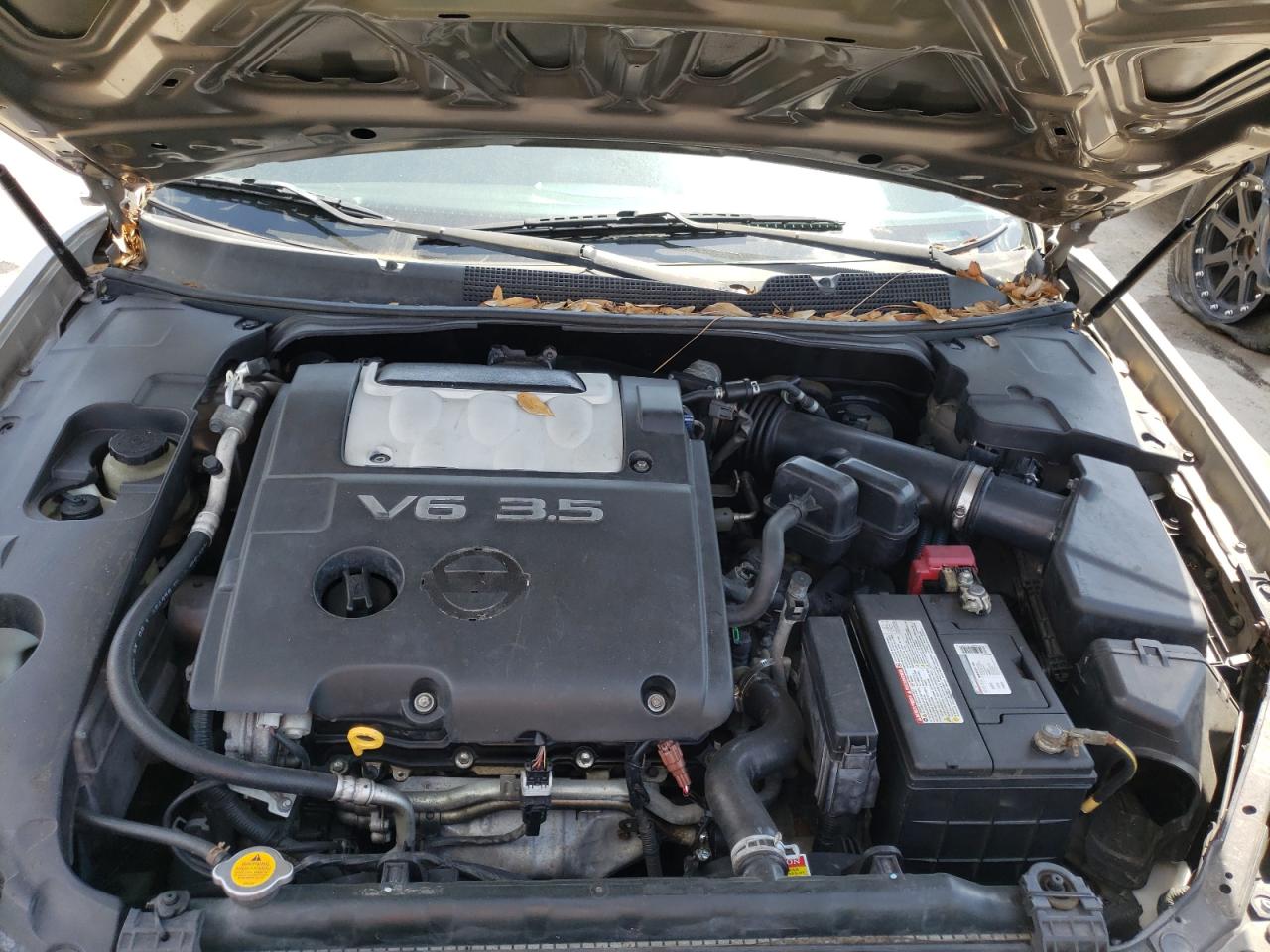 Photo 7 from auction – 2008 NISSAN MAXIMA SE with VIN 1N4BA41E18C821499