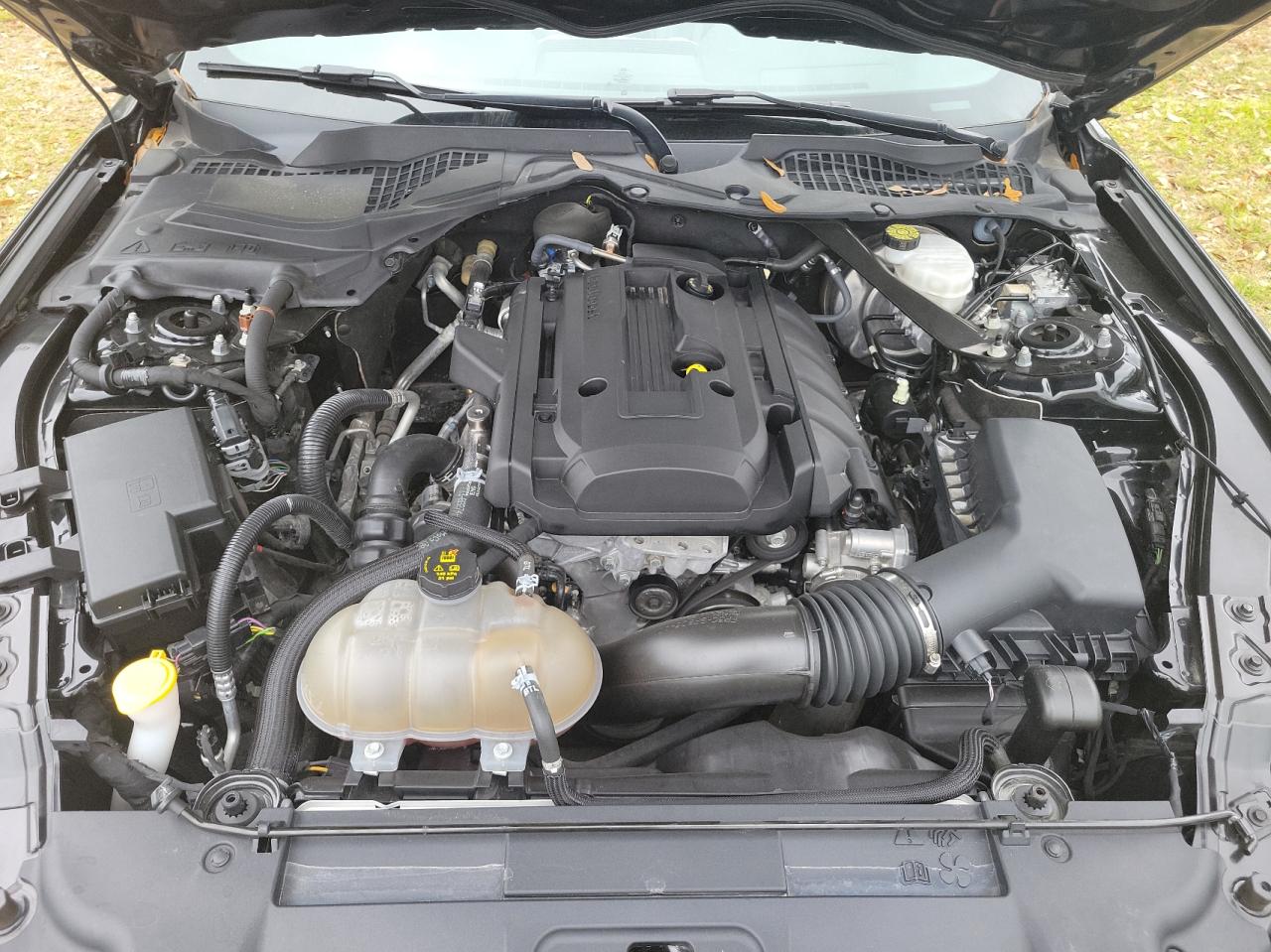 Photo 7 from auction – 2019 FORD MUSTANG with VIN 1FATP8UH3K5138487