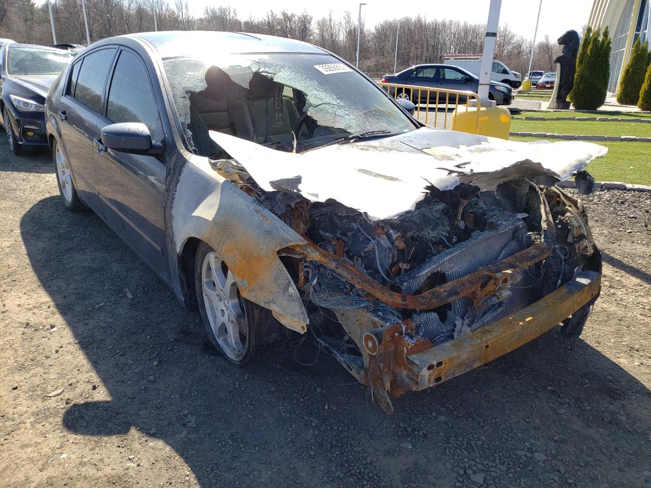 NISSAN MAXIMA SE 2006 with VIN 1N4BA41E26C810072 - Photo from auction