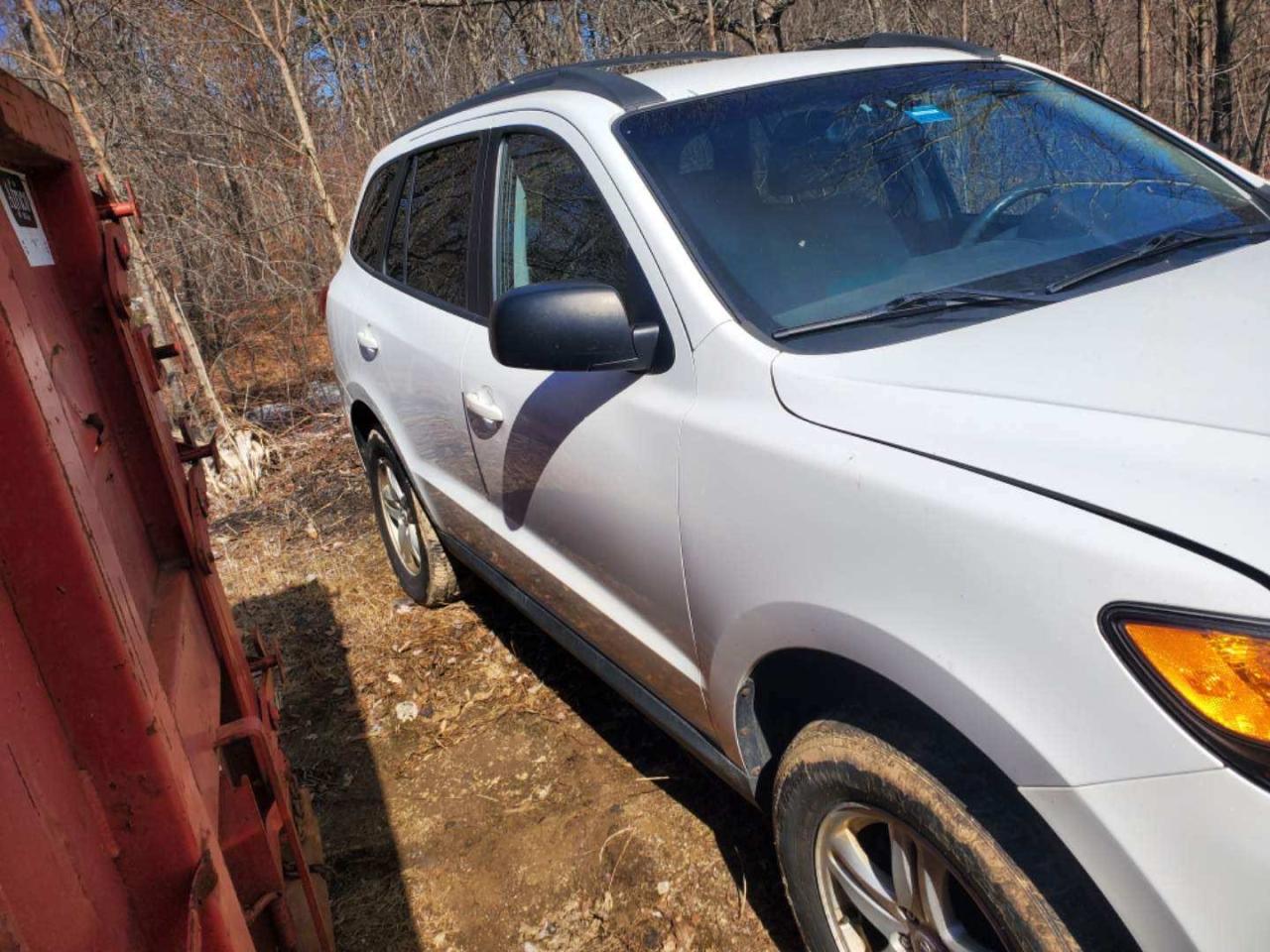 HYUNDAI SANTA FE G 2010 with VIN 5NMSGDAB8AH334287 - Photo from auction