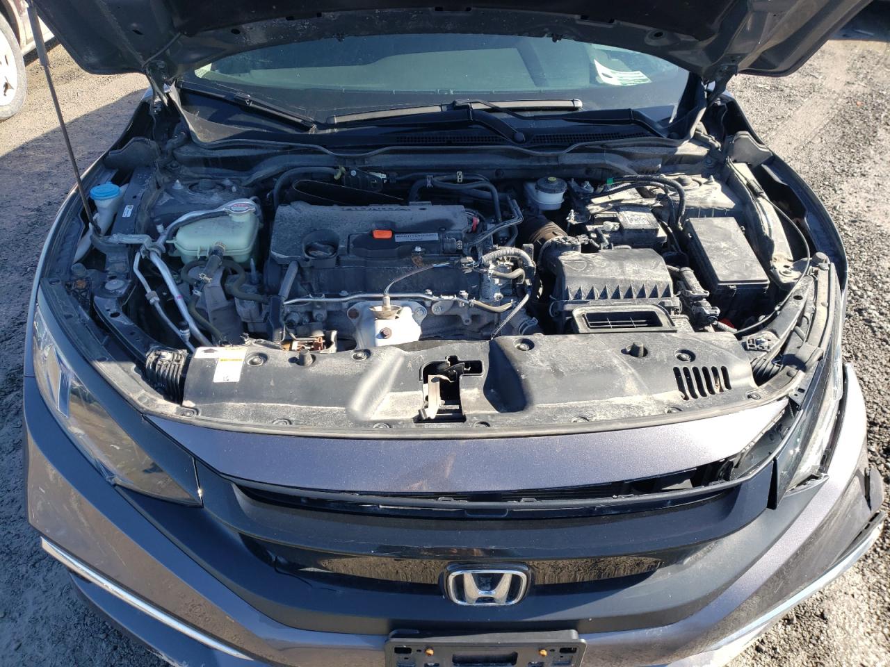 Photo 11 from auction – 2019 HONDA CIVIC LX with VIN 2HGFC2E56KH027348
