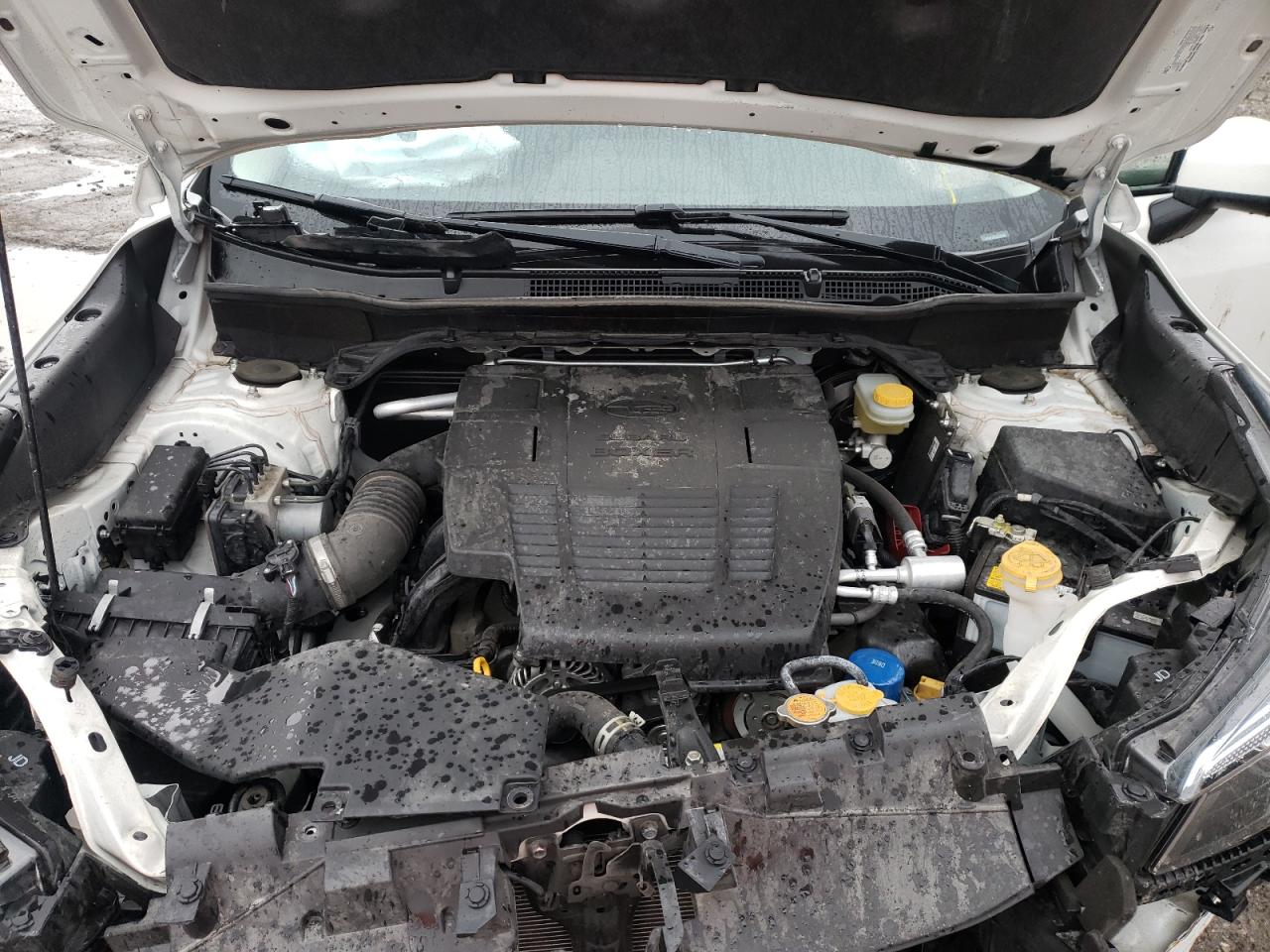Photo 7 from auction – 2020 SUBARU FORESTER P with VIN JF2SKAJC5LH551940