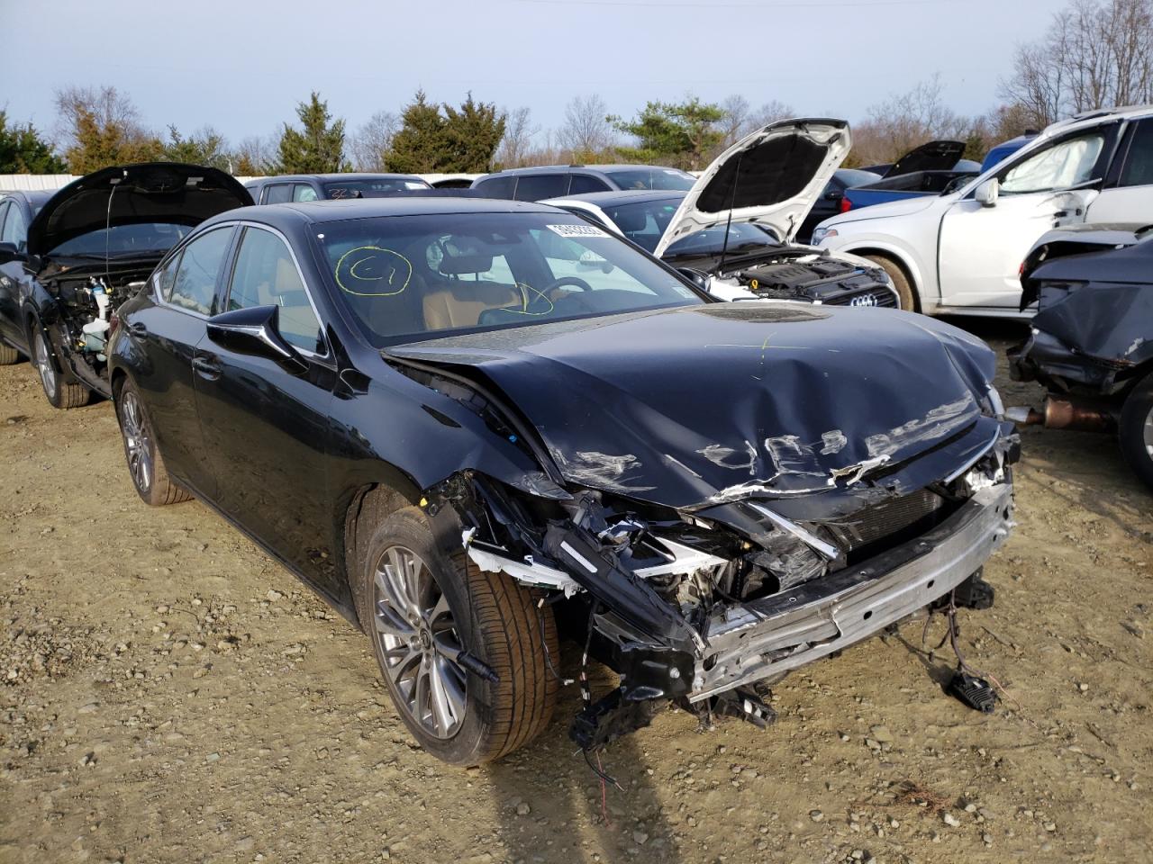 LEXUS ES 350 2020 with VIN 58ADZ1B12LU059748 - Photo from auction
