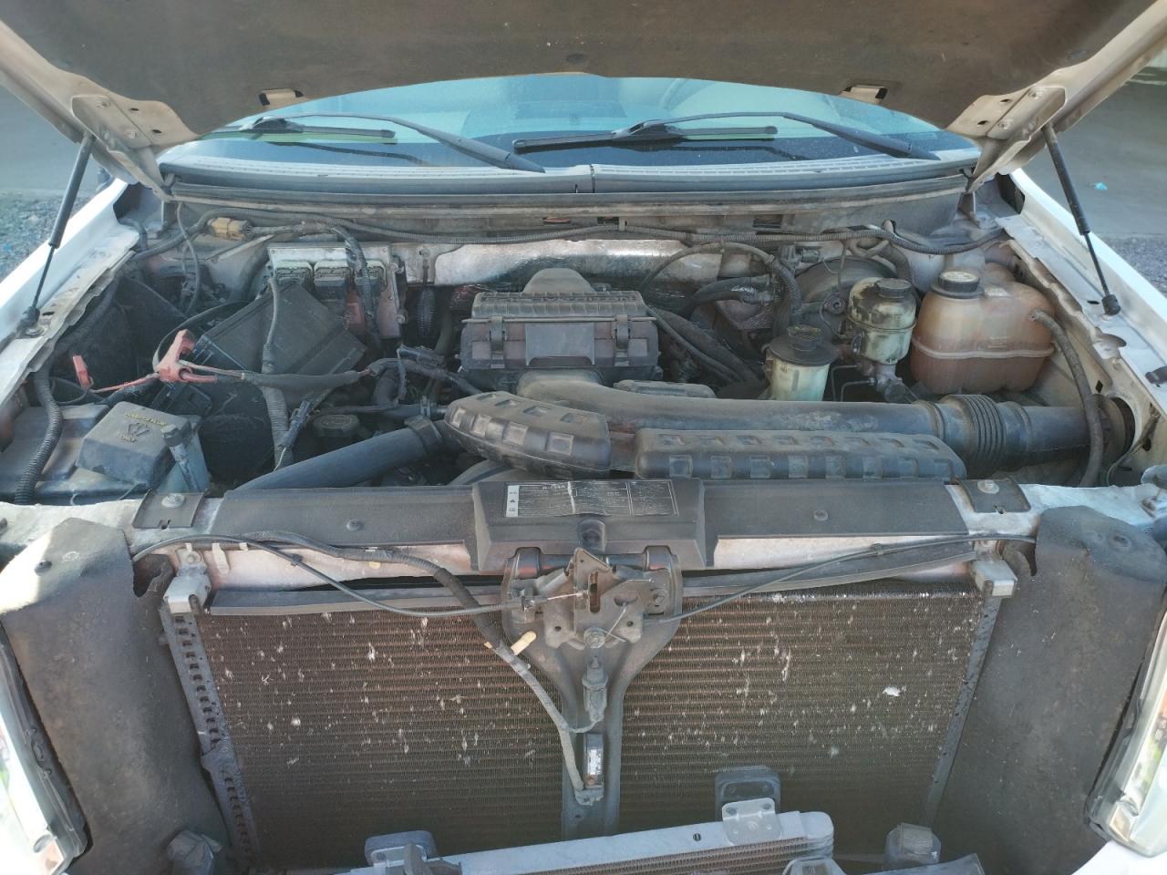 Photo 7 from auction – 2007 FORD F150 SUPER with VIN 1FTPW14557KD64664