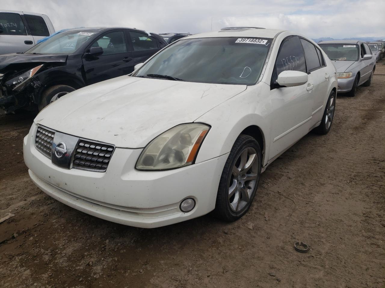 Photo 2 from auction – 2004 NISSAN MAXIMA SE with VIN 1N4BA41EX4C808213