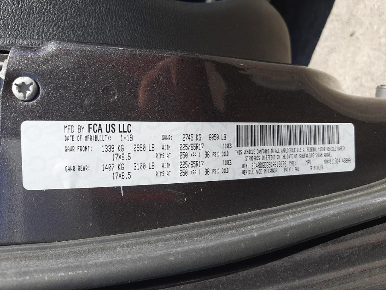 Photo 10 from auction – 2019 DODGE GRAND CARA with VIN 2C4RDGEG5KR618076